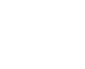 White logo for Summer Sounds by Brophy